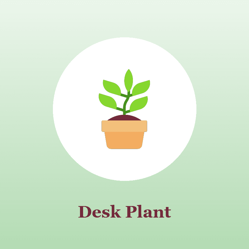 Ceramic Pot Desk Plant